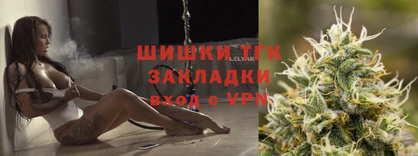 ECSTASY Алзамай