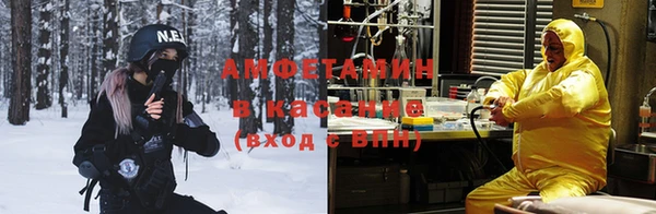 шишки Алексин