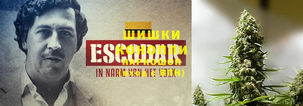 шишки Алексин