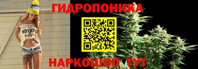 дмт Нарткала